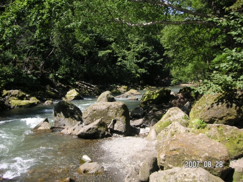 s_PICT0319.jpg